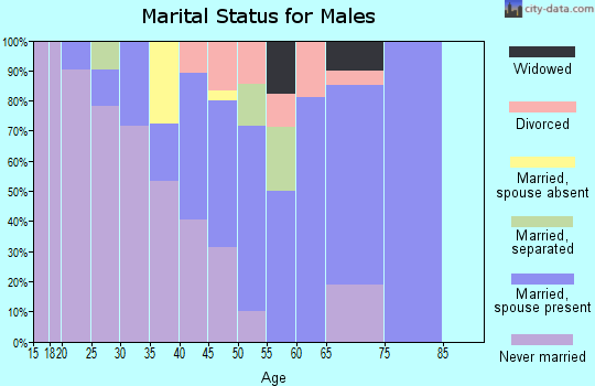 Zip code 71082 marital status for males