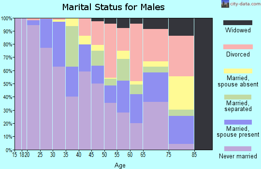 Zip code 71101 marital status for males