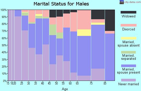 Zip code 71104 marital status for males