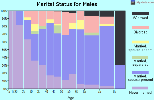 Zip code 71105 marital status for males