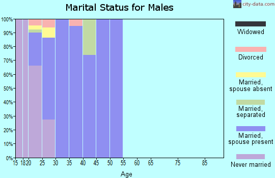 Zip code 71110 marital status for males
