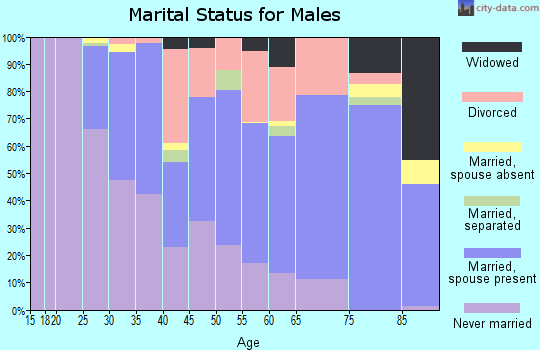Zip code 71201 marital status for males