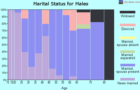 Zip code 71234 marital status for males