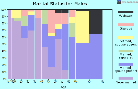 Zip code 71237 marital status for males