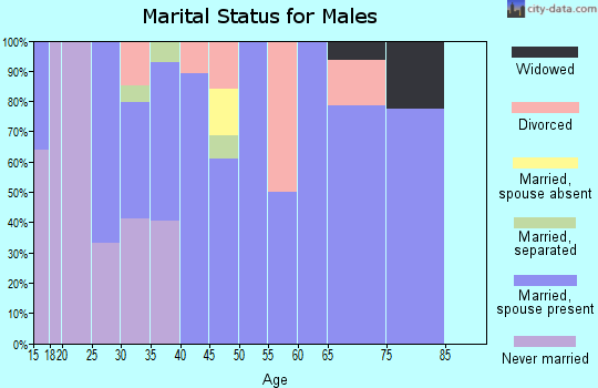 Zip code 71238 marital status for males