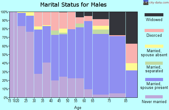 Zip code 71251 marital status for males