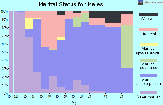 Zip code 71263 marital status for males