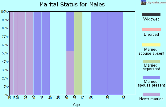 Zip code 71276 marital status for males