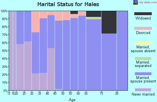 Zip code 71280 marital status for males