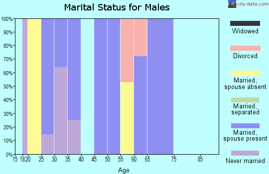 Zip code 71323 marital status for males
