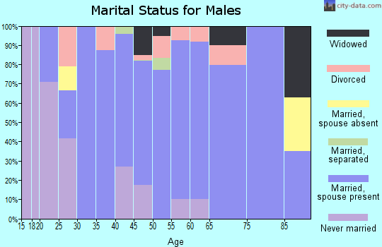 Zip code 71328 marital status for males