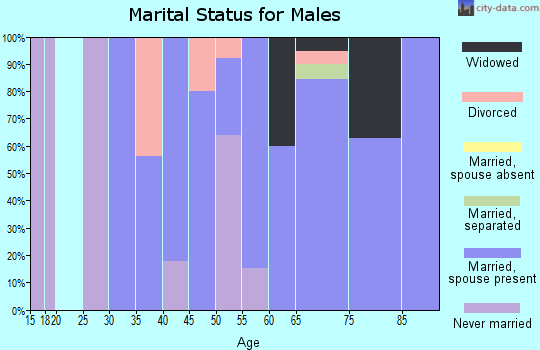 Zip code 71333 marital status for males