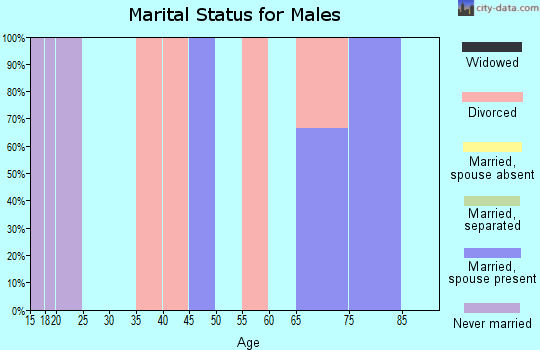 Zip code 71410 marital status for males
