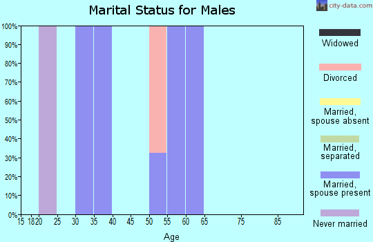 Zip code 71441 marital status for males