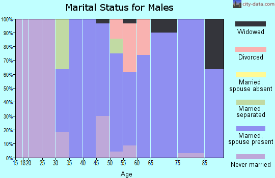 Zip code 71456 marital status for males