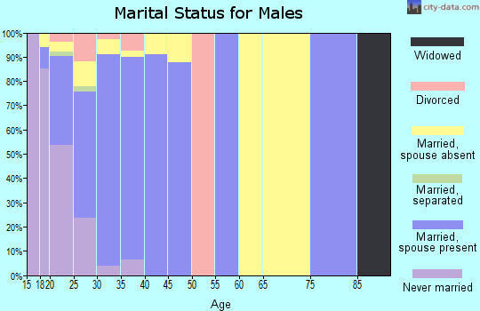 Zip code 71459 marital status for males
