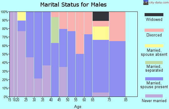 Zip code 71462 marital status for males