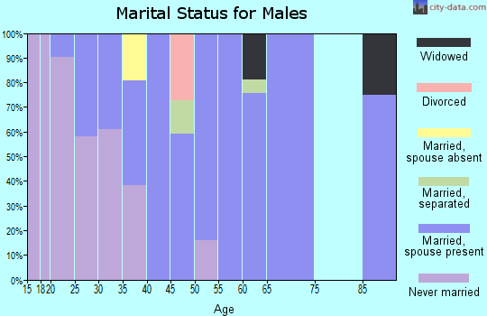 Zip code 71474 marital status for males
