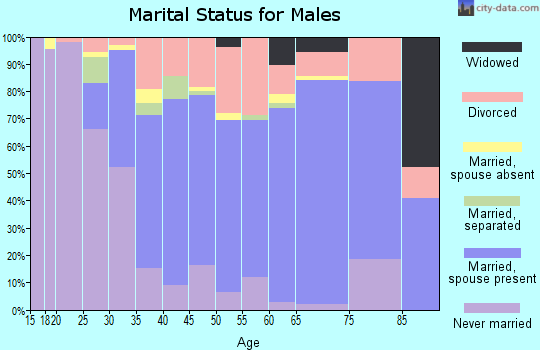 Zip code 71602 marital status for males