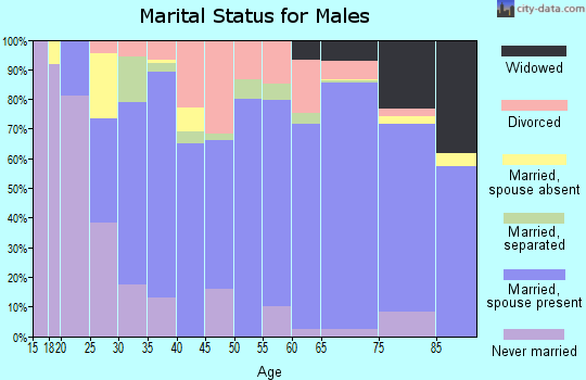 Zip code 71635 marital status for males