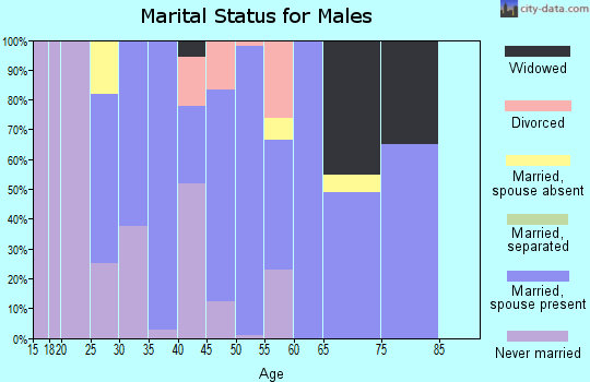 Zip code 71647 marital status for males