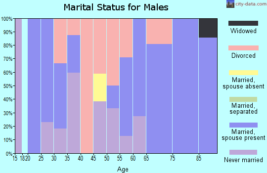 Zip code 71658 marital status for males