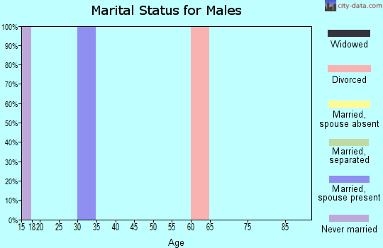 Zip code 71666 marital status for males