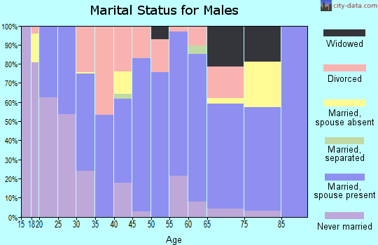 Zip code 71667 marital status for males