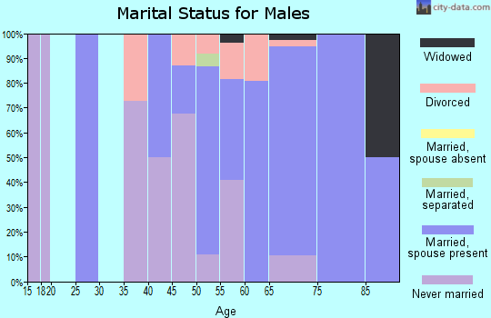 Zip code 71674 marital status for males