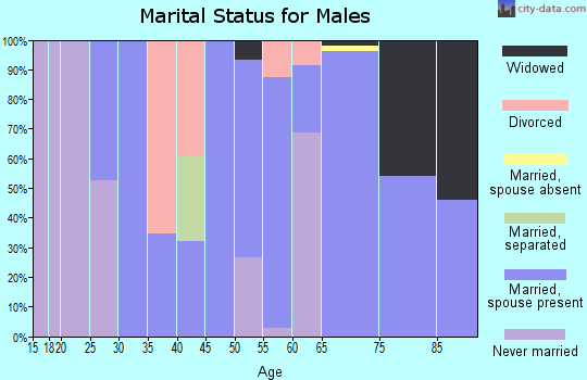 Zip code 71675 marital status for males