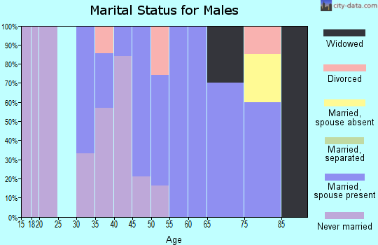 Zip code 71676 marital status for males