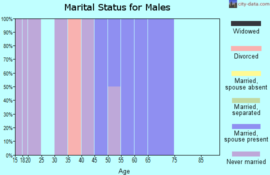 Zip code 71677 marital status for males