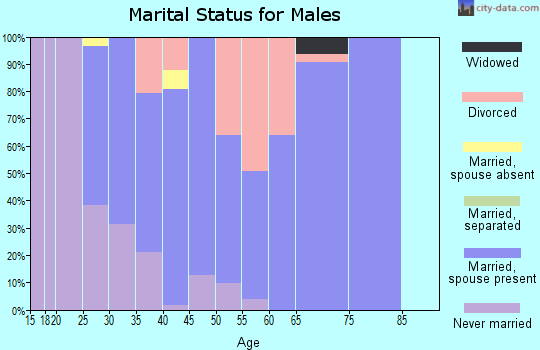 Zip code 71720 marital status for males