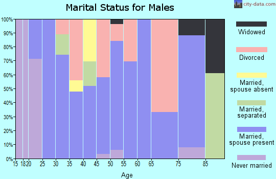 Zip code 71740 marital status for males