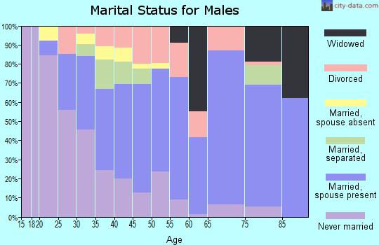 Zip code 71742 marital status for males