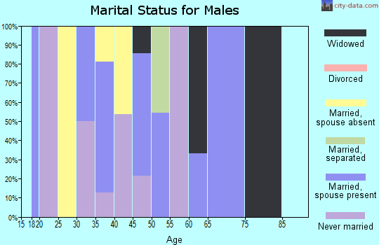 Zip code 71745 marital status for males