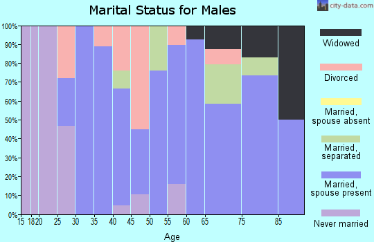 Zip code 71747 marital status for males