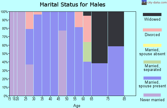 Zip code 71751 marital status for males