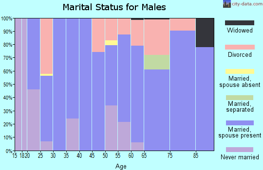 Zip code 71763 marital status for males