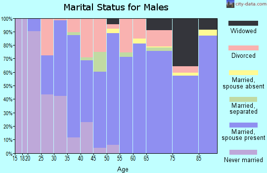 Zip code 71822 marital status for males