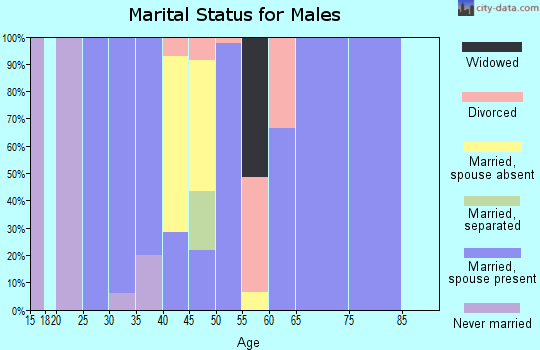 Zip code 71825 marital status for males