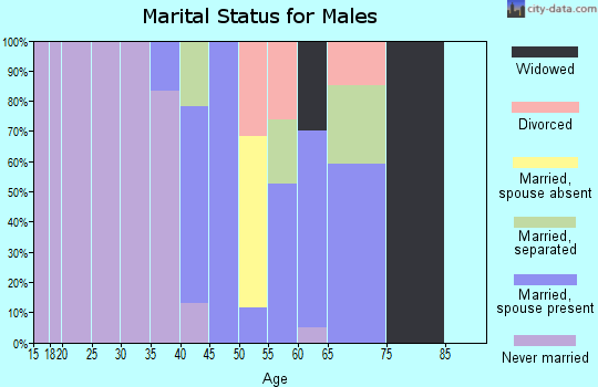 Zip code 71827 marital status for males