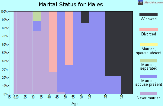 Zip code 71838 marital status for males