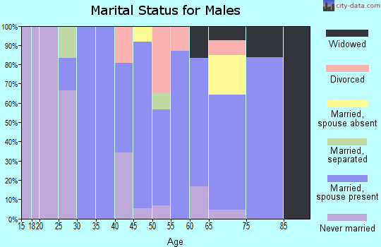 Zip code 71861 marital status for males
