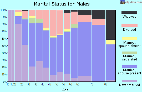 Zip code 71913 marital status for males