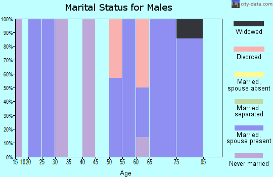 Zip code 71922 marital status for males