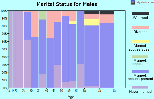 Zip code 71940 marital status for males