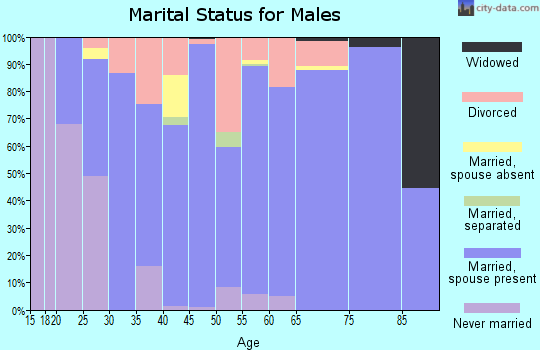 Zip code 71941 marital status for males