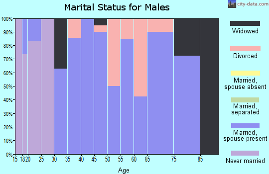 Zip code 71945 marital status for males