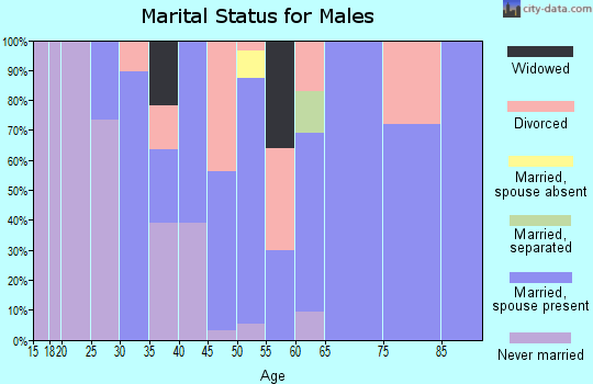 Zip code 71956 marital status for males